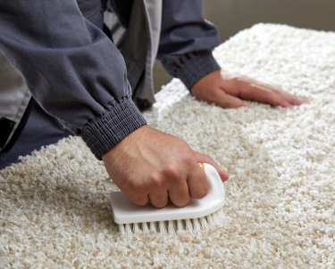 Carpet Cleaner Adelaide